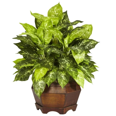 Nearly Natural 24-in Variegated Dieffenbachia W/Large Hexagon Silk Plant 3 Nearly Natural 24-in Variegated Dieffenbachia W/Large Hexagon Silk Plant