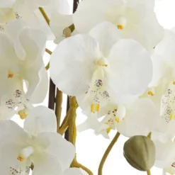 Dahlia Studios Potted Faux Artificial Flowers Realistic White Orchid In Black Pot With Riser For Home Decoration 25 1/2" High