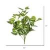 Vickerman 17" Artificial Green And White Peperomia Bush, 3 Pack