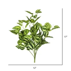 Vickerman 17" Artificial Green And White Peperomia Bush, 3 Pack