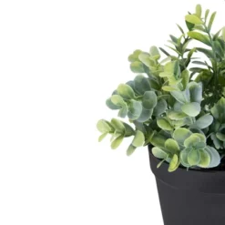 Northlight 10" Green Artificial Melia Azedarach Plant In Black Pot 8 Northlight 10" Green Artificial Melia Azedarach Plant In Black Pot -Home Decoration GUEST 2af5ee98 f287 4cb9 a27e d2a616a5cd68
