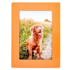 Juvale 15-Pack 4x6 Magnetic Picture Frames For Refrigerator, Locker, Office, Kitchen Cabinet, Classroom, Holds 4x6 Photos, 5 Colorful Borders 12 Juvale 15-Pack 4x6 Magnetic Picture Frames For Refrigerator, Locker, Office, Kitchen Cabinet, Classroom, Holds 4x6 Photos, 5 Colorful Borders -Home Decoration GUEST 34c2f69c b58a 4f01 99b5 434f35918508