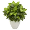 Nearly Natural 28-in Dieffenbachia Artificial Plant In White Planter 2 Nearly Natural 28-in Dieffenbachia Artificial Plant In White Planter -Home Decoration GUEST 39013000 f999 473e b7b8 56ee54fba254