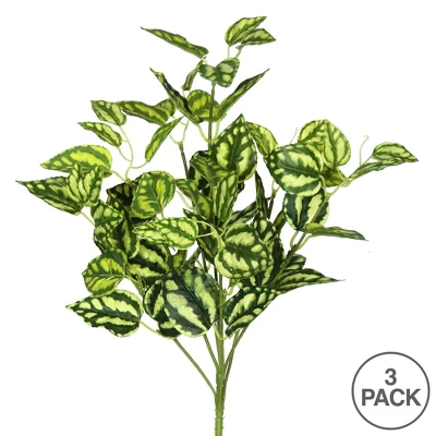 Vickerman 17" Artificial Green And White Peperomia Bush, 3 Pack 4 Vickerman 17" Artificial Green And White Peperomia Bush, 3 Pack - Image 2
