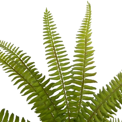 Northlight 12" Artificial Boston Fern Plant In Aztec Pattern Ceramic Pot 7 Northlight 12" Artificial Boston Fern Plant In Aztec Pattern Ceramic Pot - Image 5