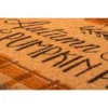 1'4" X 2'4" Autumn Skies Pumpkin Pies Indoor/Outdoor Coir Doormat Orange/Brown - Entryways