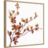 22" X 22" Colors Of The Fall IX By Anne Tavoletti Framed Canvas Wall Art Light Brown - Amanti Art 2 22" X 22" Colors Of The Fall IX By Anne Tavoletti Framed Canvas Wall Art Light Brown - Amanti Art -Home Decoration GUEST 5862882b c8bc 48eb 8a04 4643f2fa27e1