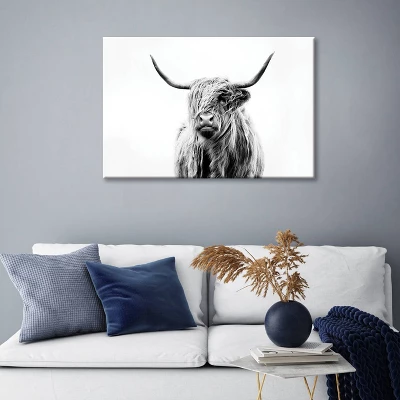 Portrait Of A Highland Cow By Dorit Fuhg Canvas Print Black/White - ICanvas 3 Portrait Of A Highland Cow By Dorit Fuhg Canvas Print Black/White - ICanvas