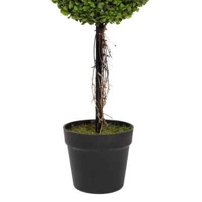 Northlight 4' Unlit Artificial Potted Two Tone Green Double Ball Boxwood Topiary Garden Tree 4 Northlight 4' Unlit Artificial Potted Two Tone Green Double Ball Boxwood Topiary Garden Tree - Image 3