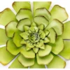 Metal Wall Succulent Green - Ultimate Innovations -Home Decoration GUEST 68bc7358 5cce 4746 95e1 89c6cde2f2e5