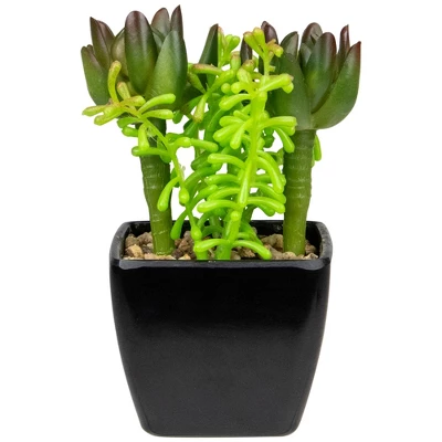 Northlight 6" Potted Green Artificial Succulent Arrangement 7 Northlight 6" Potted Green Artificial Succulent Arrangement - Image 5
