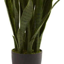 Nearly Natural Sansevieria With Black Planter 9 Nearly Natural Sansevieria With Black Planter -Home Decoration GUEST 719febc9 f088 4073 9b7a 5b9f27b56d6b