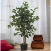 Nearly Natural 3' Ficus Silk Tree 2 Nearly Natural 3' Ficus Silk Tree -Home Decoration GUEST 84bc9166 b9d3 4762 9d7d a3b14f293e09