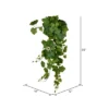 Vickerman Artificial Green Grape Leaf Ivy Hanging Bush 1 Vickerman Artificial Green Grape Leaf Ivy Hanging Bush -Home Decoration GUEST 8c45cd0d 4495 4218 be1d 24176a3bc658