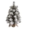 Transpac Artificial 18 In. Multicolor Christmas Snow Colorado Tree With Bagged Stand