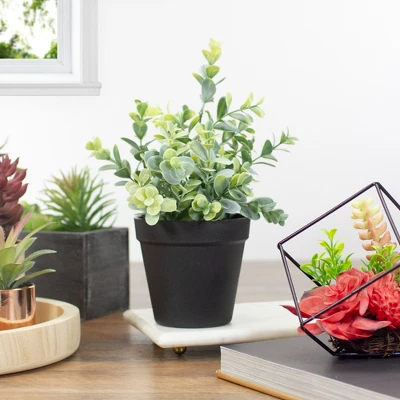 Northlight 10" Green Artificial Melia Azedarach Plant In Black Pot 3 Northlight 10" Green Artificial Melia Azedarach Plant In Black Pot