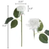 Artificial Open Rose Bundles ? 18PC Real Touch Fake 11.5-Inch Flowers With Stems For Home Décor, Wedding Or Bridal/Baby Showers By Pure Garden (White) 1 Artificial Open Rose Bundles ? 18PC Real Touch Fake 11.5-Inch Flowers With Stems For Home Décor, Wedding Or Bridal/Baby Showers By Pure Garden (White) -Home Decoration GUEST b8262f1f c72c 4aba 8dbd 40ee2e19f658
