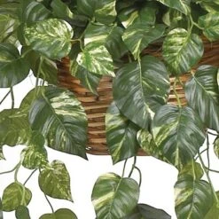 Pothos Hanging Basket Silk Plant - Nearly Natural -Home Decoration GUEST b880fb4b 98ce 4e1c 912a d5cb552c41d2