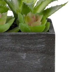 Northlight 10" Artificial Mixed Succulent Plants In A Rectangular Planter -Home Decoration GUEST be6fa5e7 6760 48ab a8b5 3879443f26af