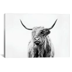 Portrait Of A Highland Cow By Dorit Fuhg Canvas Print Black/White - ICanvas 11 Portrait Of A Highland Cow By Dorit Fuhg Canvas Print Black/White - ICanvas -Home Decoration GUEST c97f87d8 f886 4688 b291 560e59e87b5b