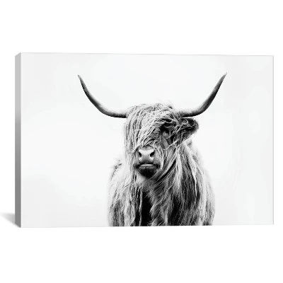 Portrait Of A Highland Cow By Dorit Fuhg Canvas Print Black/White - ICanvas 7 Portrait Of A Highland Cow By Dorit Fuhg Canvas Print Black/White - ICanvas - Image 5
