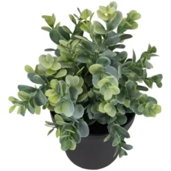 Northlight 10" Green Artificial Melia Azedarach Plant In Black Pot 9 Northlight 10" Green Artificial Melia Azedarach Plant In Black Pot -Home Decoration GUEST cbee1d85 b563 4695 bf0c ca8d74ab2a94