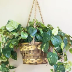 Pothos Hanging Basket Silk Plant - Nearly Natural -Home Decoration GUEST d13d32ca ddfe 45c2 b8db b06550edfd71