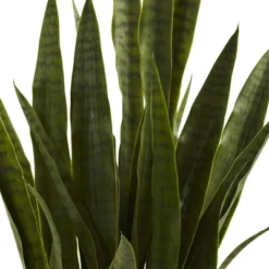 Nearly Natural Sansevieria With Black Planter 8 Nearly Natural Sansevieria With Black Planter -Home Decoration GUEST d8b22f7c 9a45 4515 9f4e 99530bfda27c