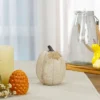 Northlight 6.25" White Pumpkin Autumn Harvest Thanksgiving Tabletop Decoration 2 Northlight 6.25" White Pumpkin Autumn Harvest Thanksgiving Tabletop Decoration -Home Decoration GUEST da4bf3a0 4bd4 4fe5 b3e5 9a94fee9b476
