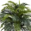 38" X 32" Artificial Areca With Decorative Planter - Nearly Natural 1 38" X 32" Artificial Areca With Decorative Planter - Nearly Natural -Home Decoration GUEST de436dd5 edcf 4ff7 8045 abd834e81361