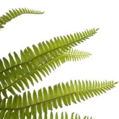 Northlight 12" Artificial Boston Fern Plant In Aztec Pattern Ceramic Pot 10 Northlight 12" Artificial Boston Fern Plant In Aztec Pattern Ceramic Pot -Home Decoration GUEST eb4d02ab f9be 43d5 a08d d1c27baaf534