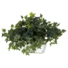Nearly Natural 14-in Ivy W/White Wash Planter Silk Plant 2 Nearly Natural 14-in Ivy W/White Wash Planter Silk Plant -Home Decoration GUEST f51bbd9c 499d 44d7 830b 7a33e62bc379